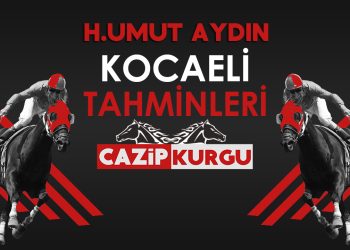 H.Umut Aydın 30 Nisan Salı Kocaeli