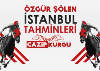 Özgür Şölen 1 Mayıs Çarşamba İstanbul